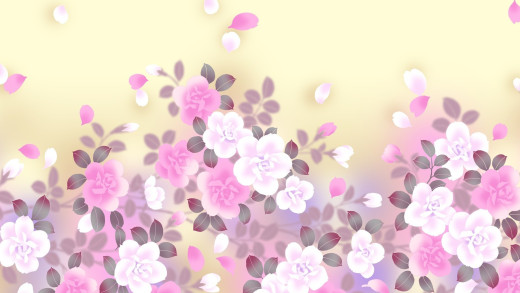 910003 (a): :1920x1080